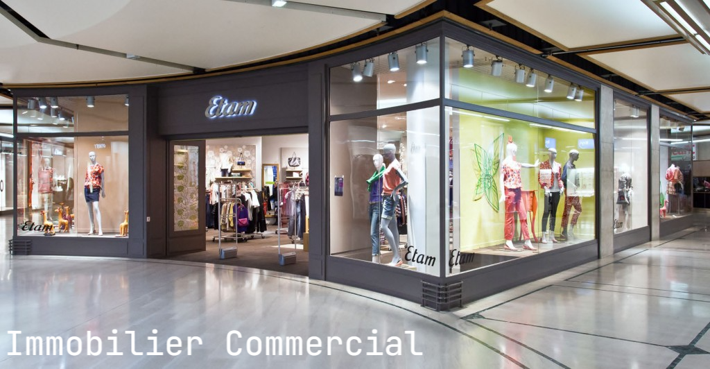 Immo Commercial